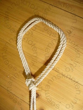 Doppelter Palstek - Bowline on a Bight
